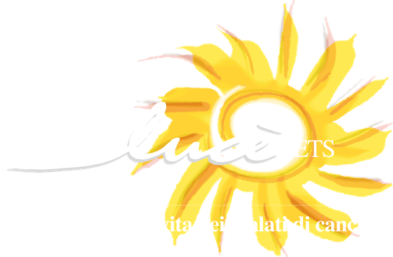 Fondazione Lucè Ente Filantropico ETS — per migliorare la vita dei malati di cancro
